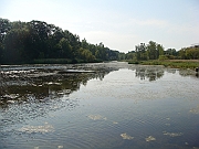 Western Michigan [2009] 379